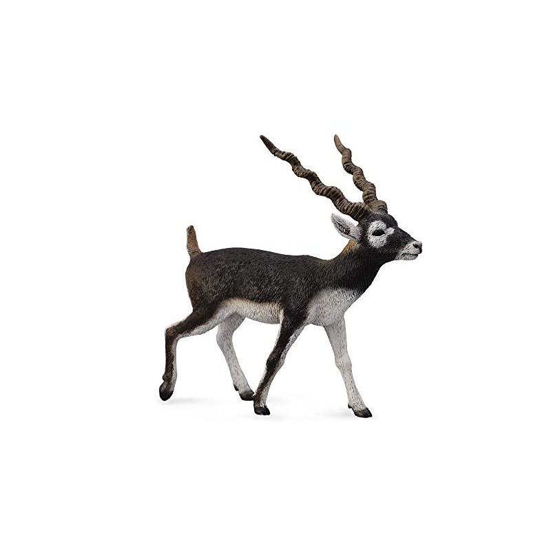 CollectA Blackbuck