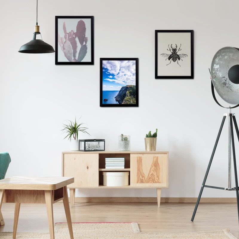 MENNTHUI 10x12 Black Picture Frame, Wall Mounting Horizontally or Vertically,