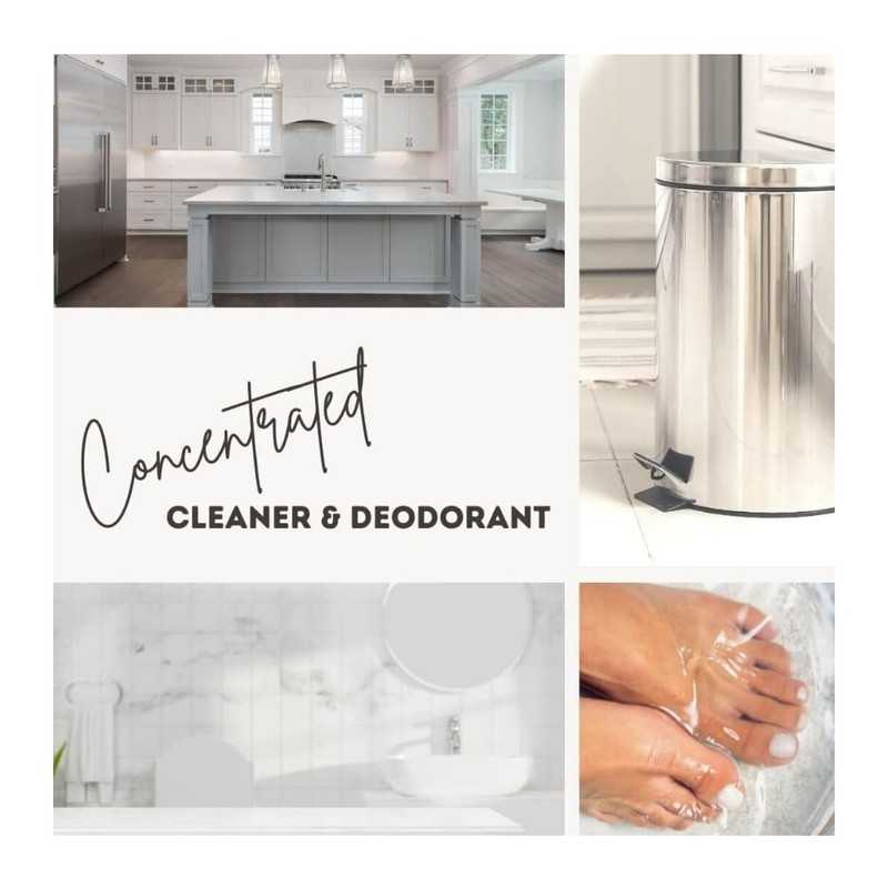 Hexol Concentrated General Household Cleaner and Deodorant 1600-00016U rust 16