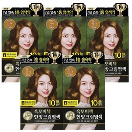 Lien black hair secret herbal cream dyeing 120g light brown 5 pieces Lien black hair secret herbal cream dyeing 120g dark brown / 리엔 흑모비책 한방 크림 염색 120g 밝은갈색 5개 리엔 흑모비책 한방 크림 염색 120g 짙은갈