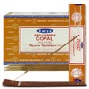 Copal Incense Sticks and Incense Stick Holder Bundle Insence Insense