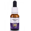 Living Essences Yellow Cone 15ml