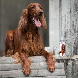 The Blissful Dog ® Inc. Irish Setter Relax Dog Aromatherapy Soothes Anxious, Frightened, Terrified Dogs - SPRAY MISTER
