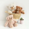 Histoire d 'ours 35 cm beige