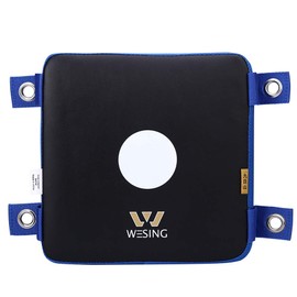 Wesing Punching Pads for Wall Boxing - Focus Target Punch Bag Mat for Martial Arts (Blue, 25cm)