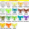 Time to Sparkle Pack of 10 Organza Sashes 22x280cm Wider