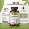 Vegan Omega-3 capsules made of micro-algae oil. 1875 mg premium