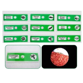 JZK 48 x Plastic Microscopes Slides for Children with Animals, Insects, Plants, Flowers, Vegetables for Biological Training