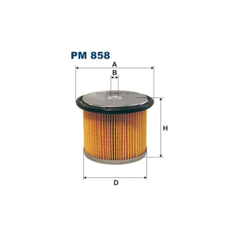 Filtron Fuel Filter PM858