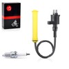 Ignition Coil & Spark Plug w/Cap For Honda XR250R 1996-2004