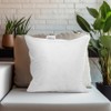 Pillowtex Set of 2 White Duck Feather & Down Pillow