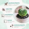 The Grow Co Succulents & Cactus Plant Food - Gentle