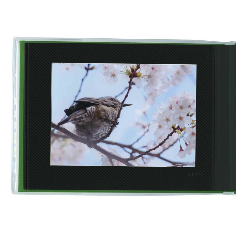 Delphonix PD Photo Album Basic S Chambray Blue