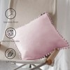 Pagnanno. Set of 2 Soft Velvet Cushion Covers 45x45cm(18x18 Inches)