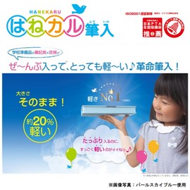 Kutsuwa CX300MT Clarino Flashing Brush, Lightweight, 1 Door, Mint Green