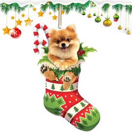 Pomeranian Dog Christmas Ornaments, Pomeranian Xmas Sock Ornament,2024 Dog for Pomeranian Lovers, Dog Mom, Dog Dad, Pet Lovers New Year's Gift (Pomeranian)