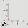Dritz 1-3/4" Extra-Long Color Ball Straight Pins, 180 Count, Pink