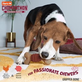 Hartz New Chompathon - Juguete masticable de Hueso para masticadores agresivos, Doble Capa con Sabor a Pollo y Tocino                                 