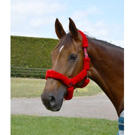 Rhinegold Fur Trim Headcollar - Extra Full - Red