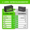 DREAMDASH 12V 10Ah Rechargeable LiFePO4 Lithium Battery for Fish Finder
