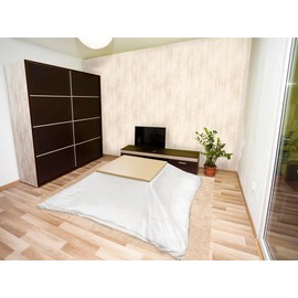 Meiwa Gravure Waterproof Kotatsu Topper, N Clear, 82.7 x 98.4 inches (210 x 250 cm)