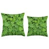 St. Patricks Day Gifts for Botanists with Clover Green Clover