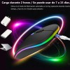 2pzas Mouse Inalambrico Silencioso Recargable, Mouse Gamecraft Ergonomico Bluetooth/2.4g Doble