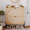IRONCK Shoe Cabinet Storage with 2 Flip Drawers, Free Standing