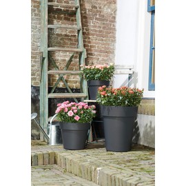 elho Green Basics Top Planter 23 - Flower Pot for Outdoor - Ø 23.0 x H 19.6 cm - White/Cotton White