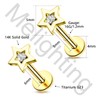 Melighting Titanium Cartilage Earring Star Threadless Push In Tragus Earring
