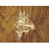 MAX TPC- Boat & RV Hull Repair, Crack Patching Compound,
