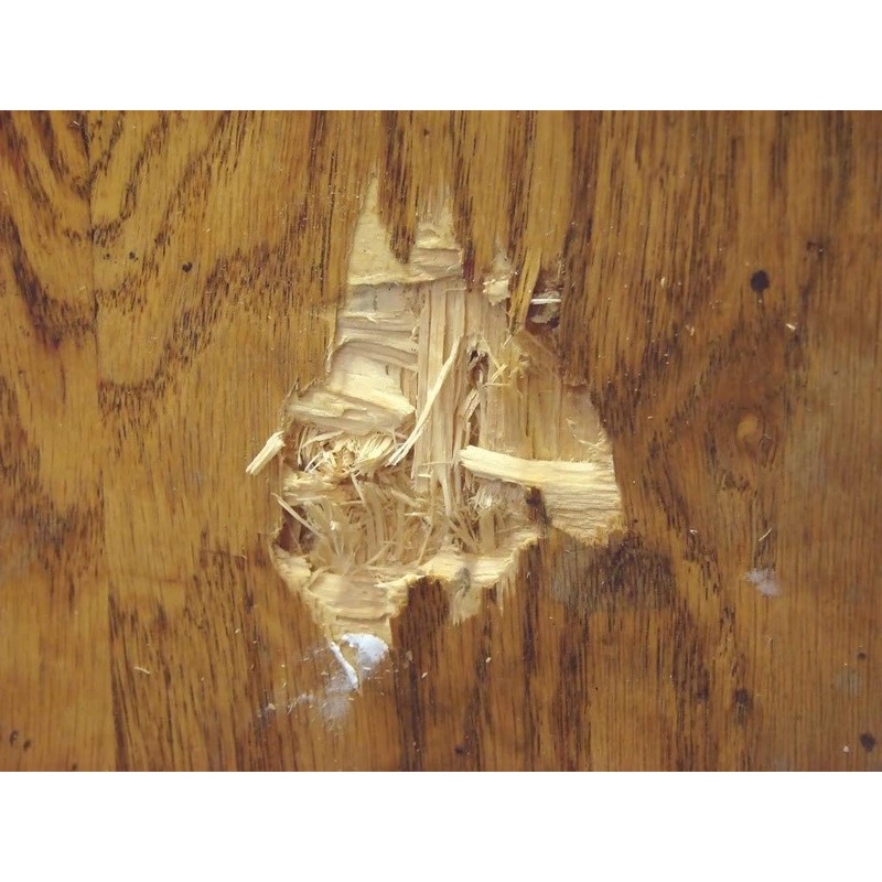 MAX TPC- Boat & RV Hull Repair, Crack Patching Compound,