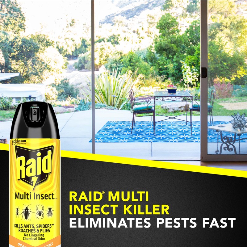 Raid Multi Insect Killer Aerosol Kills Ants Spiders Roaches and