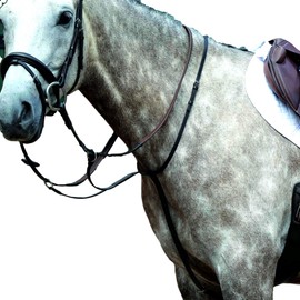 Collegiate Essential Plain Flat Running Martingale