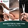 Blizzard Professional Hairdressing Scissors - Japanese 420 Steel Micro-Serrated Hair