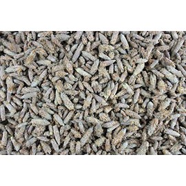 1000Kräuter Pine Sprouts Whole Pine Buds Herbal Tea Tea (100g)