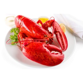 Maine Lobster Now - 2.5 lb Live Maine Lobster (2 Pack)