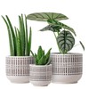 3-Pack Ceramic Plant pots Set - 6.5"+5.3"+4" Dual-Tone Flower Pots