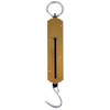 Homelux 890191 Roman Scale, 50 Kilos