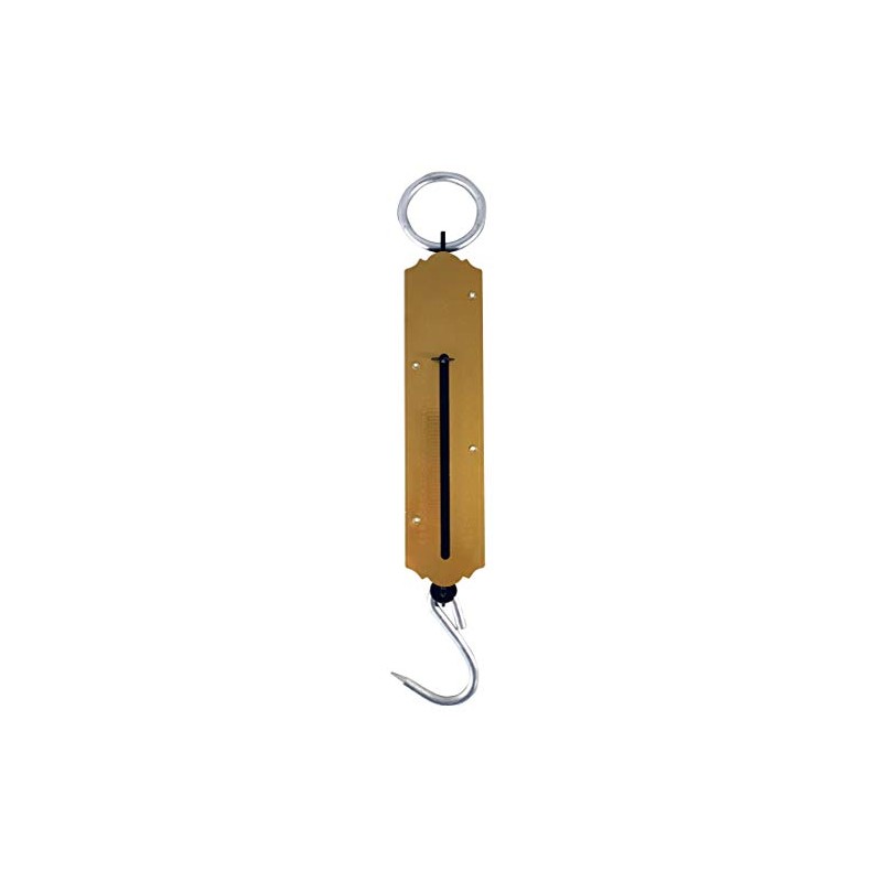 Homelux 890191 Roman Scale, 50 Kilos