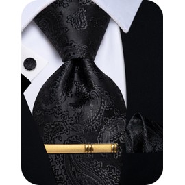 YourTies Silk Tie for Men Paisley Floral Striped Necktie and Pocket Square Cufflinks Tie Clip Set 4PCS Business Wedding Party, Black Paisley, Medium