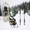 Retrospec unisex adult Snowshoe and Trekking Pole Bundle, Laurel, 30