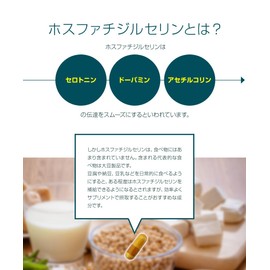 オーガランド (ogaland) ホスファチジルセリン サプリ (90カプセル / 約3ヶ月分) 冴えた毎日のサポートに (イチョウ葉エキス/GABA) サプリメント