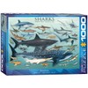 Sharks 1000-Piece Puzzle