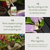 Garden Safe Brand TakeRoot Rooting Hormone, 2 Count, Powder Helps