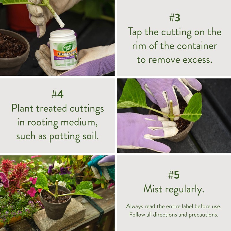 Garden Safe Brand TakeRoot Rooting Hormone, 2 Count, Powder Helps