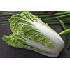 Mai's Family 500+ Napa Cabbage Michihili Heading Chinese Cabbage Non-GMO