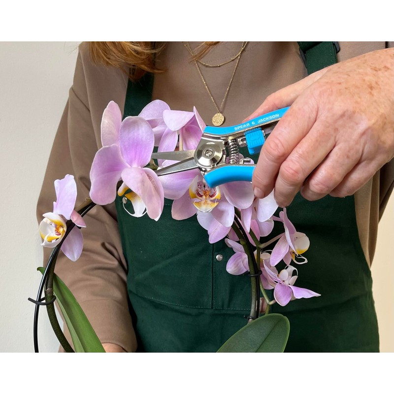 Spear & Jackson 66418BL Colours Long Blade Snips (Blue)