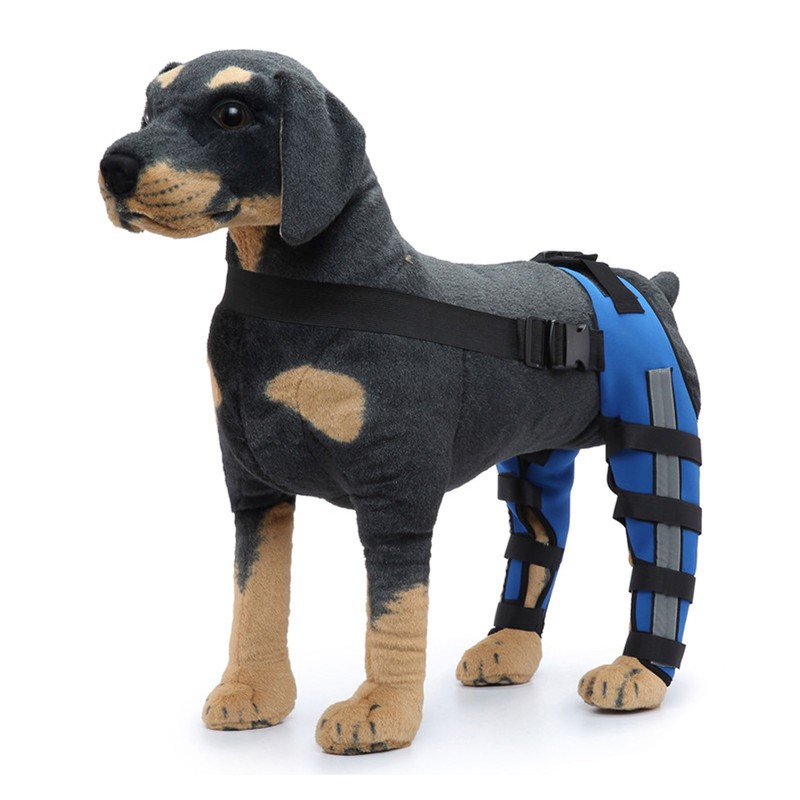 Dog Hind Leg Brace Breathable Elastic Shockproof Dog Leg Protector