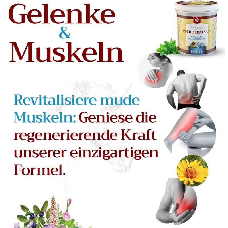 SwissMedicus Horse Balm Massage Gel with 25 Herbal Extracts (Beinwell,